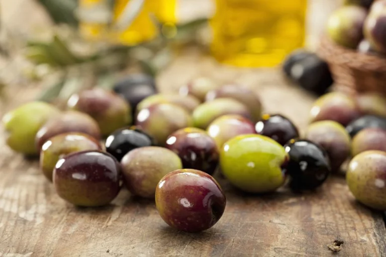 olive fruit or vegetable