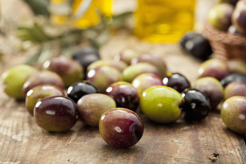 olive fruit or vegetable